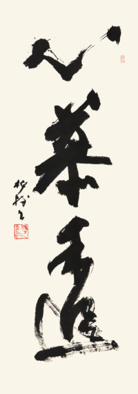 杭迫柏樹